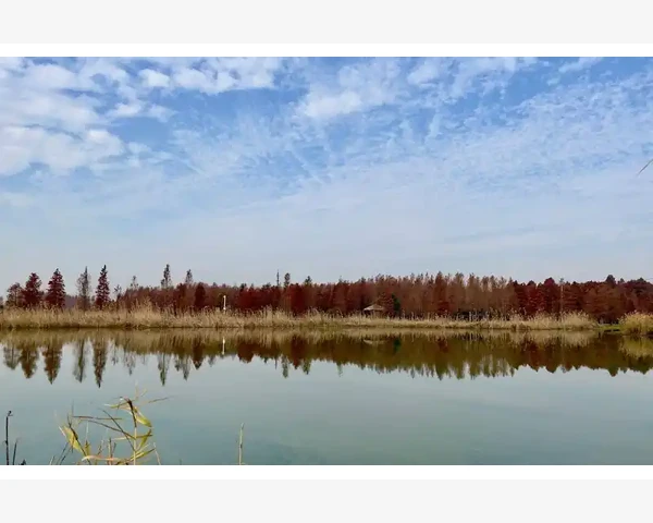 办公耗材创业靠B2B平台起步的先天优势_淘宝B2B模式的常见问题与应对