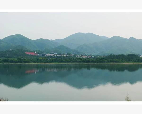 下载MT4安装包遇见的坑比头屑还多说说我这网速_具体设置步骤与参数选择技巧