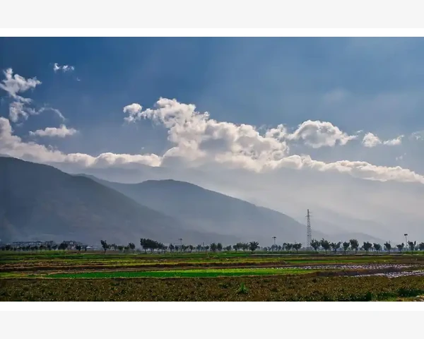 B2B商业模式核心特质与运作逻辑_京东企业购业务展现B2B属性