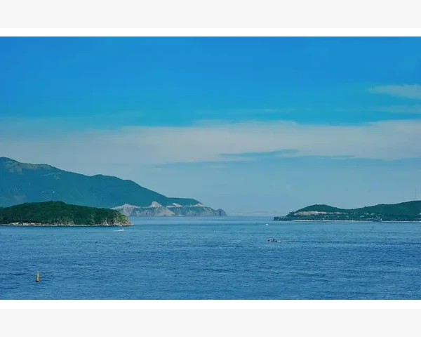 深圳B2B推广实战技巧与平台选择_药材B2B平台的核心功能与价值