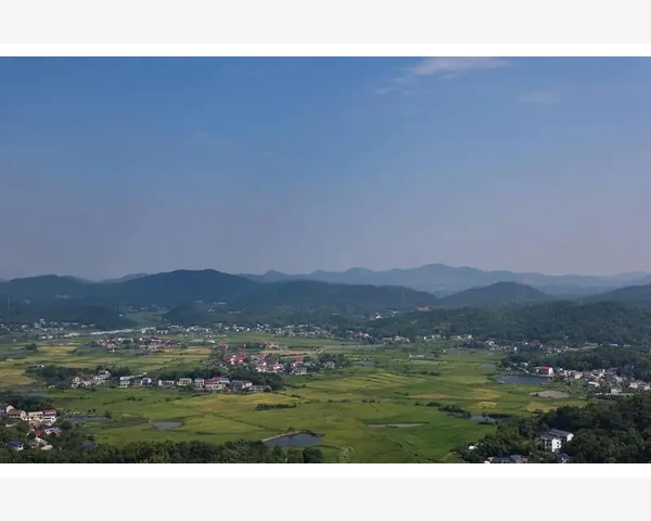MT4图表双品种叠加显示实现方法与操作技巧