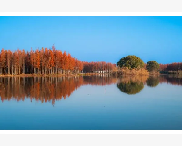 B2B平台从入门到熟练操作全流程_B2B平台从入门到熟练操作全流程