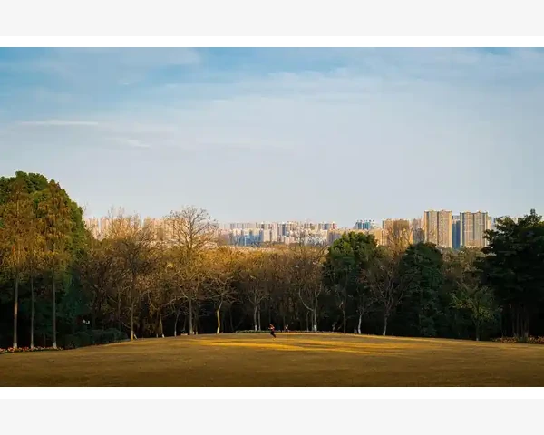 小贸易公司B2B选对细分赛道才不白忙_自动发布工具的核心功能与价值