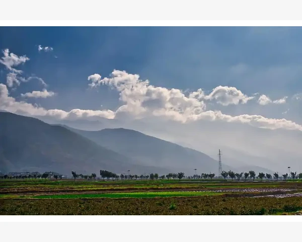 B2B商业模式核心概念与运作机制_技术选型与功能模块设计