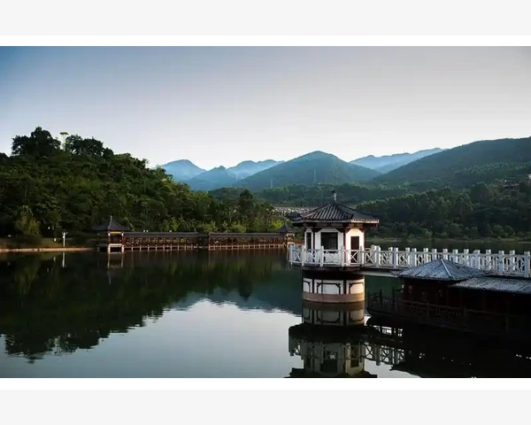 苏宁B2B系统后台操作全流程详解_国际站与环球资源:流量与质量的博弈