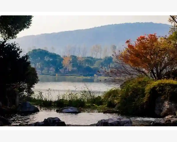 MT4电脑版搜索失灵排查与修复全流程