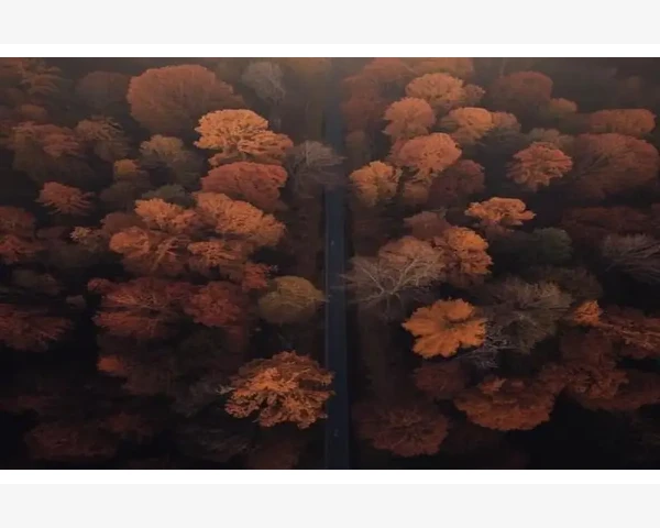 B2B平台商业计划书从零到路演实战框架_意向转化阶段:从询盘到商机的筛选
