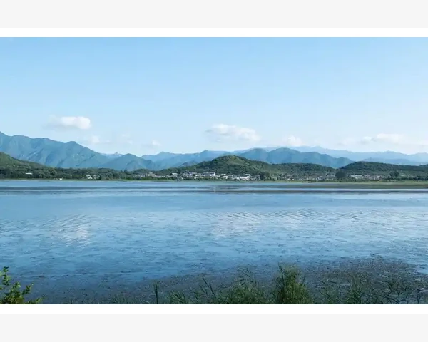 免费B2B平台挑选技巧与实操分享_综合类B2B平台:覆盖面广的流量入口